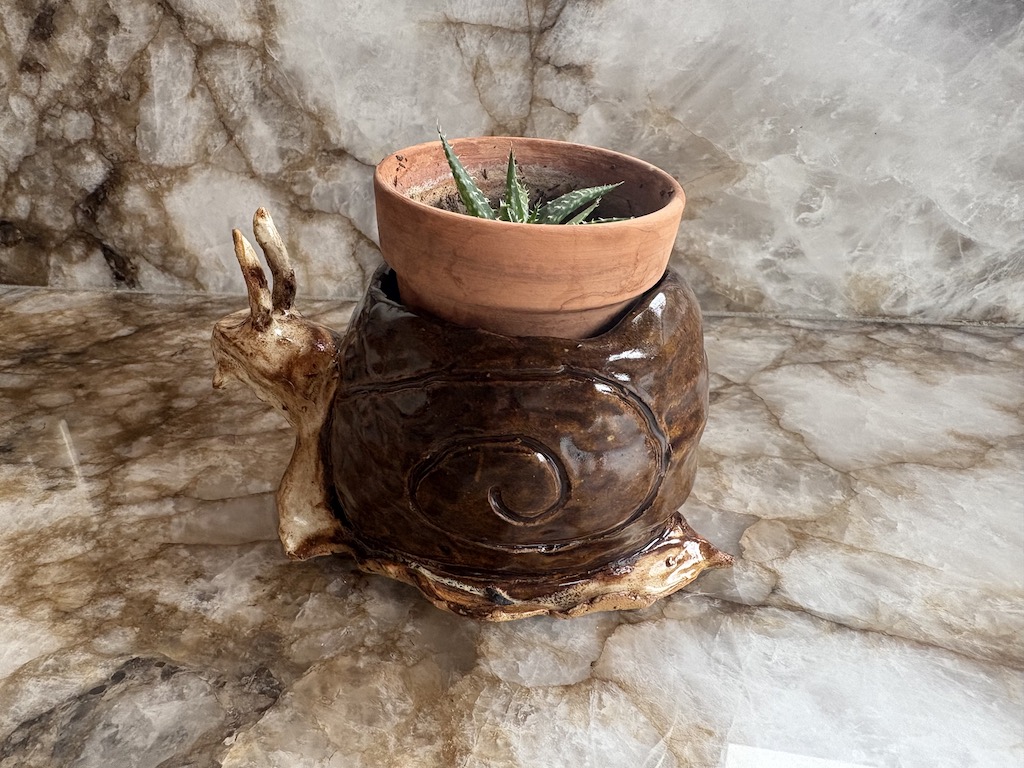 Snail Vessel